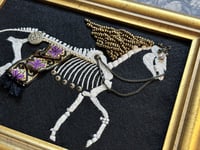 Image 4 of Lunava Horse Skeleton Embellished Embroidery Framed
