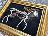 Image 5 of Lunava Horse Skeleton Embellished Embroidery Framed