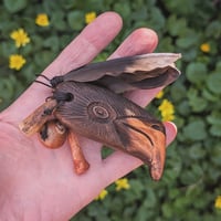 Image 2 of Irish Raven Dream Amulet (DAM708)