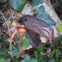 Image 1 of Irish Raven Dream Amulet (DAM708)