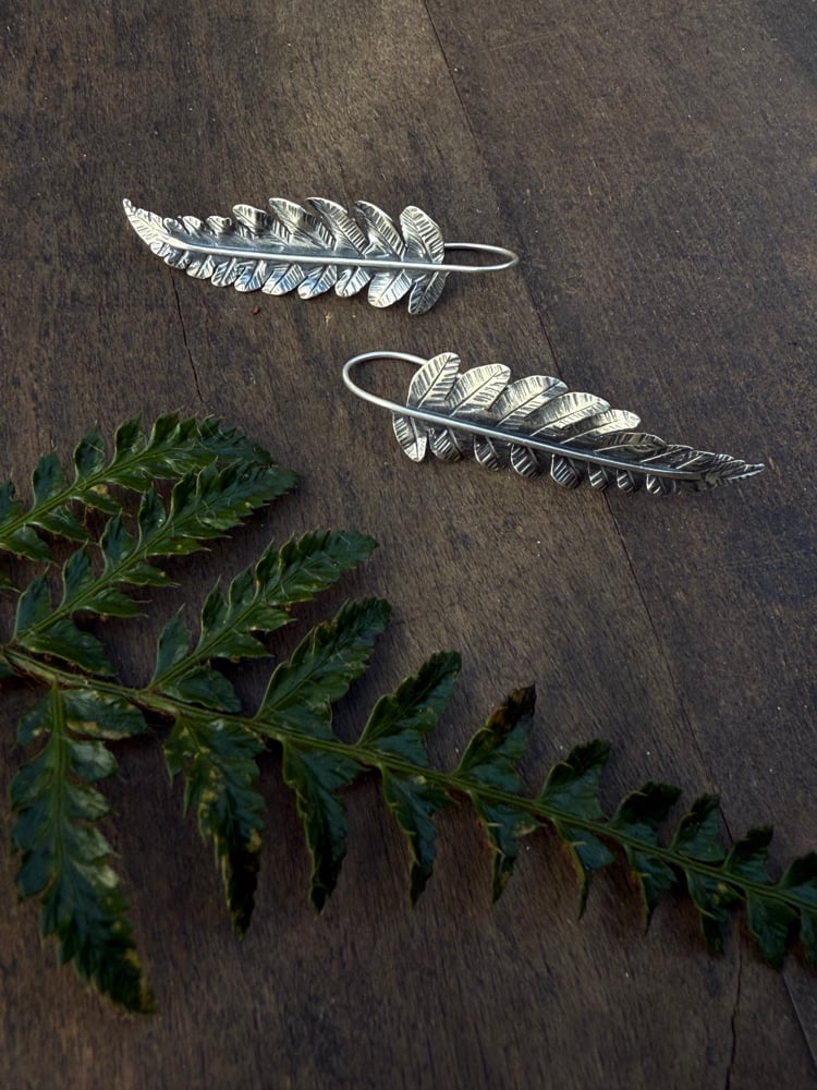 Image of Sterling Cinnamon Fern Earrings