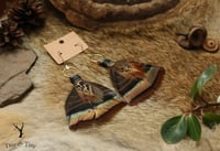 Image 1 of Leather Wrapped Iridescent Turkey & Grouse Feather Earrings 