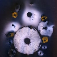 Mushroom Sporeprint Poster A4