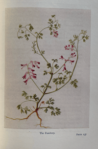 Image 3 of The Book of Wild Flowers By Gareth H Browning