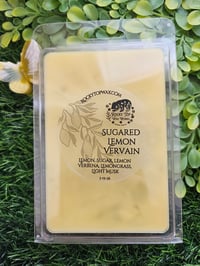 Image 4 of Sugared Lemon Vervain 