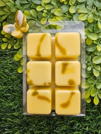 Image 5 of Sugared Lemon Vervain 