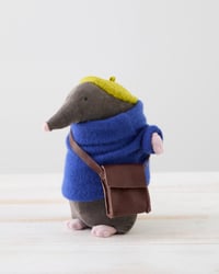 Image 1 of Mole