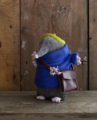 Image 4 of Mole
