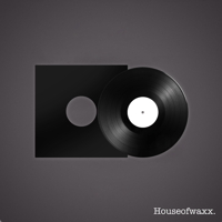 Just Don't Give A F*ck 12'' Vinyl Test Press