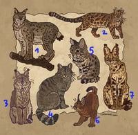 Image 2 of Wild cat sticker sheet 2025 I