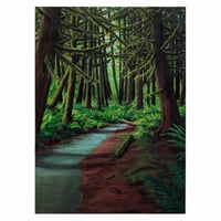 Image 1 of Woods Immemorial