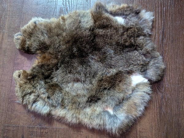 Image of B-grade Chocolate Agouti Satin Back Pelt