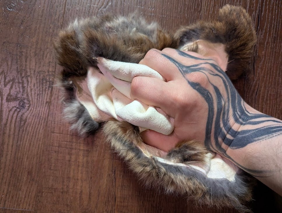 Image of B-grade Chocolate Agouti Satin Back Pelt