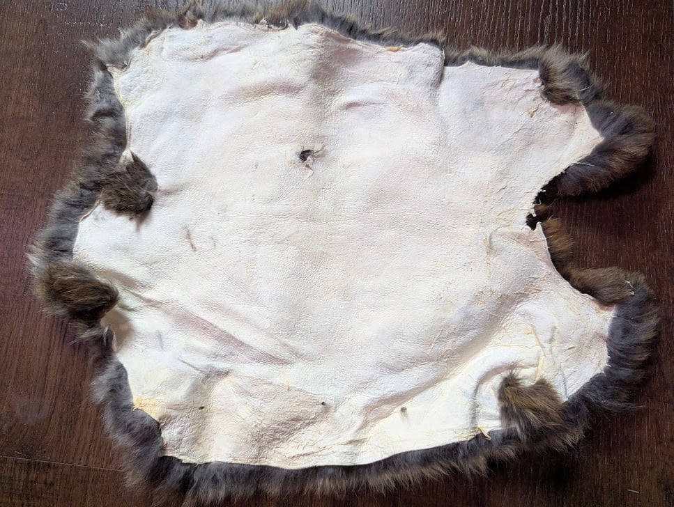 Image of B-grade Chocolate Agouti Satin Back Pelt