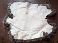 Image 3 of B-grade Copper Satin Back Pelt