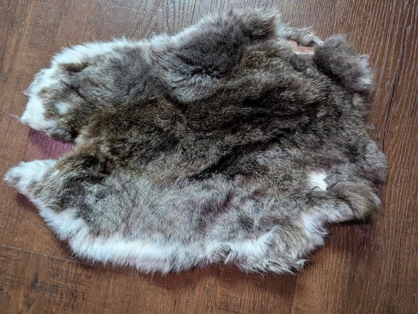 Image of B-Grade Chinchilla Satin Back Pelt
