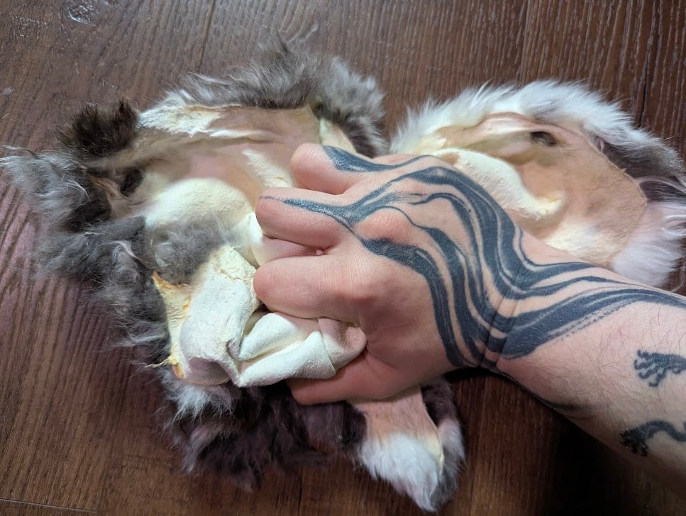 Image of B-Grade Chinchilla Satin Back Pelt