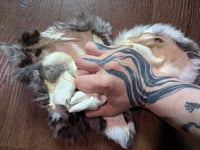 Image 3 of B-Grade Chinchilla Satin Back Pelt