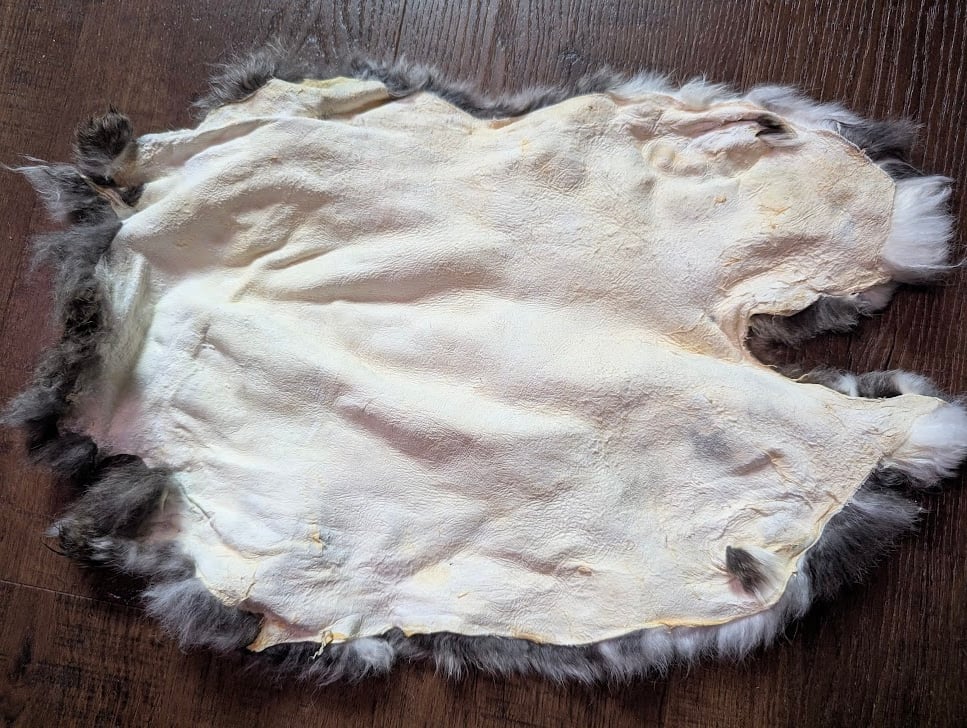 Image of B-Grade Chinchilla Satin Back Pelt