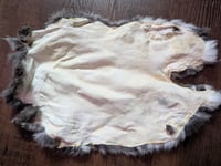 Image 2 of B-Grade Chinchilla Satin Back Pelt