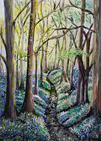 Image 1 of Bluebell Symphony Print