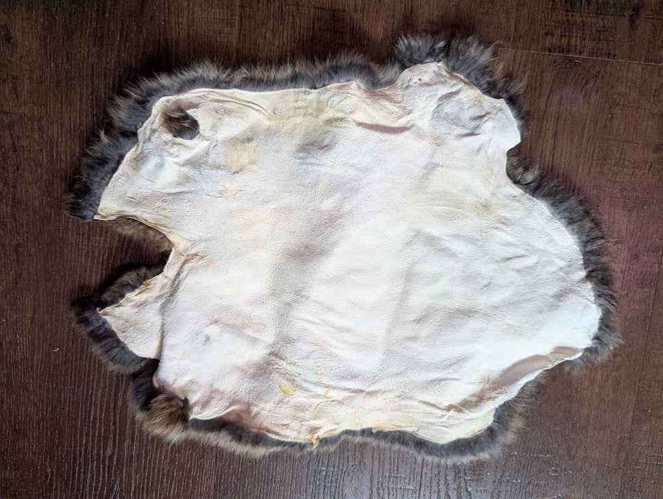 Image of Chocolate Agouti Satin Back Pelt