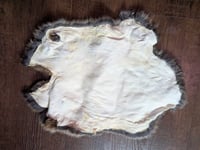 Image 3 of Chocolate Agouti Satin Back Pelt