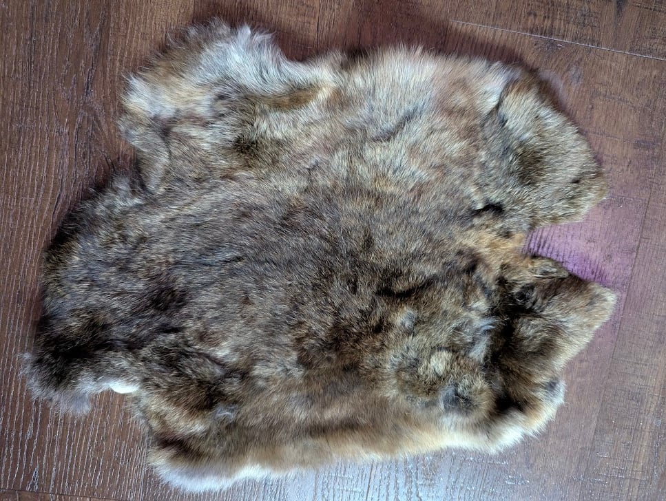 Image of Chocolate Agouti Satin Back Pelt