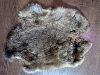 Image 1 of Chocolate Agouti Satin Back Pelt