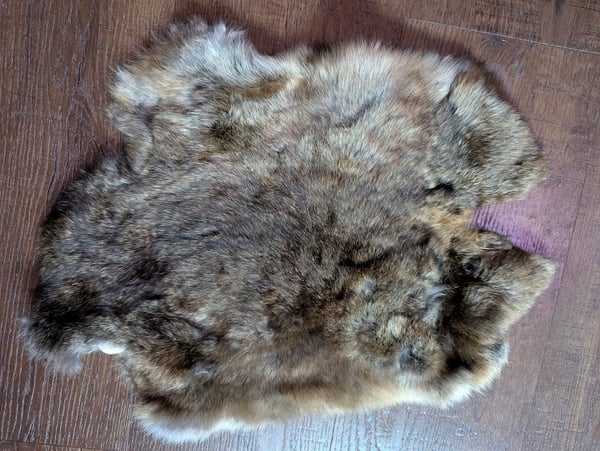 Image of Chocolate Agouti Satin Back Pelt