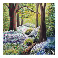 Image 1 of Sunlit Bluebell Way Greeting Card