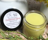 Image 1 of Goldenrod Salve 2 oz Glass Jar