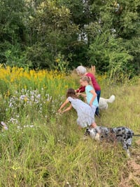 Image 5 of Goldenrod Salve 2 oz Glass Jar