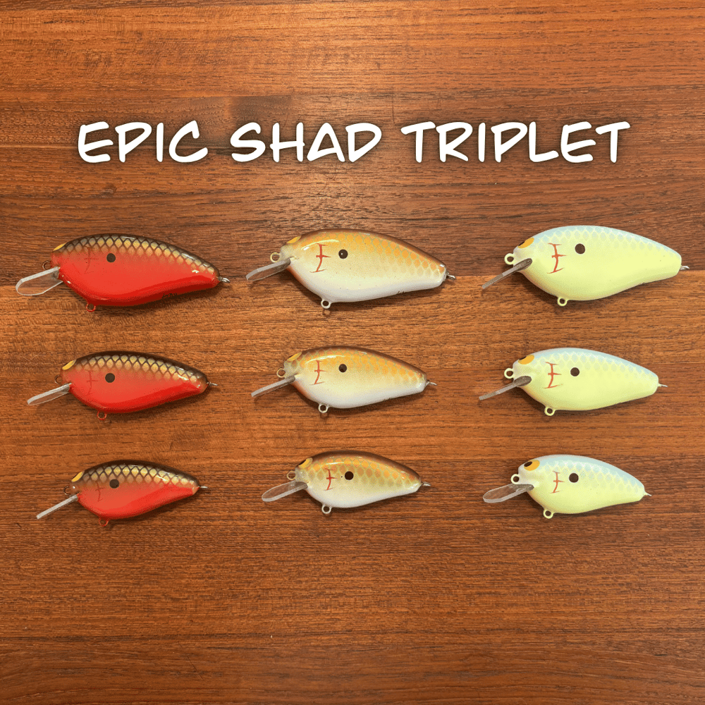 Epic Shad Family Set--New for 2026!