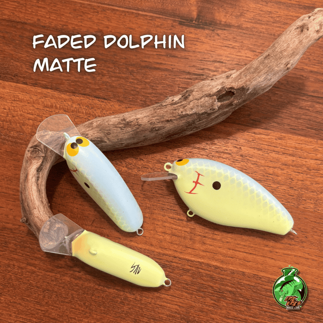 Epic Shad Family Set--New for 2026!