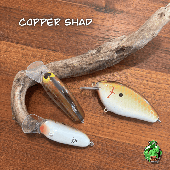 Epic Shad Family Set--New for 2026!