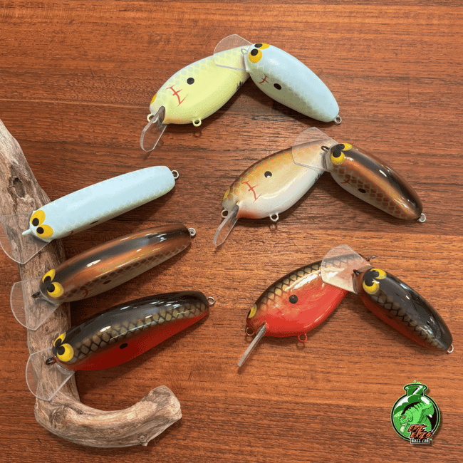 Epic Shad Family Set--New for 2026!