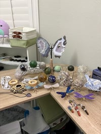 Carnitacoleman ORDER 1