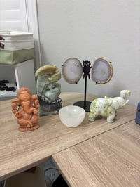 Carnitacoleman ORDER 2