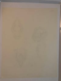 Image 3 of 1978 J.C. Fly National Tattoo production sheet 11x14