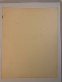 Image 3 of 1982 Spider Webb production flash sheet 11x14 unicorn stampede 