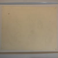 Image 2 of 1978 Spaulding & Roger’s Don Nolan production flash parrots 11x14