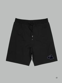 Image 2 of Heatwave Shorts 