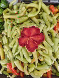 Image 3 of Be a flower