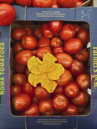 Image 1 of Be a flower