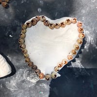 Image 22 of WILD CREATIVE KIDS