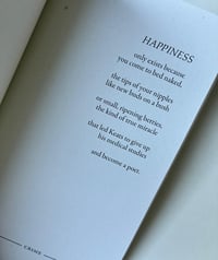 Image 3 of Howie Good's TRUE CRIME