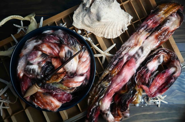 Chambered Nautilus Combed Top - 50/50 Merino/Tencel