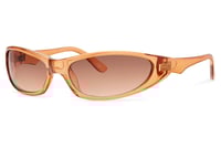 Image 1 of FLASH/9891