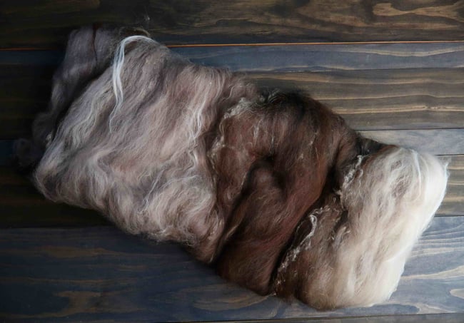 Quills Luxury Art Batt #6 - Correidale, Merino, and Silk